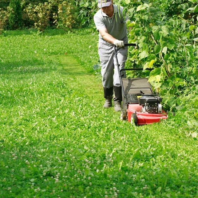 Empresa de jardinería Santander