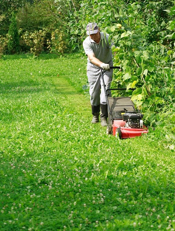 Empresa de jardinería Santander